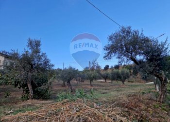 Giardino - Terreno edificabile Bucchianico - foto 3