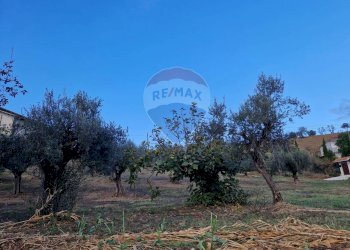 Giardino - Terreno edificabile Bucchianico - foto 4
