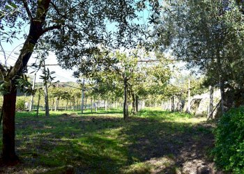 Foto 6 - Terreno edificabile Sant'Ambrogio di Valpolicella - foto 3