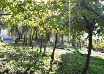 Foto 7 - Terreno edificabile Sant'Ambrogio di Valpolicella - foto 4