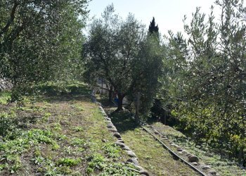 Foto 14 - Terreno edificabile Sant'Ambrogio di Valpolicella - foto 11