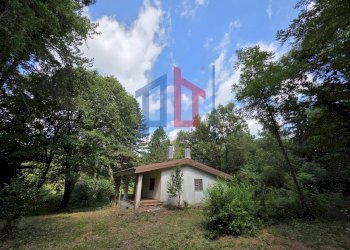 Foto 6 - Villa Via Pratoni del Vivaro, Rocca di Papa - foto 6