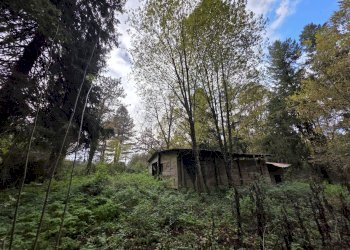 Foto 15 - Villa Via Pratoni del Vivaro, Rocca di Papa - foto 15