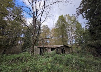 Foto 16 - Villa Via Pratoni del Vivaro, Rocca di Papa - foto 16