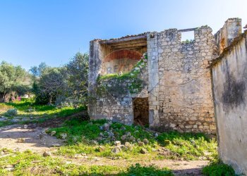 Giardino - Terreno edificabile Sassari - foto 4