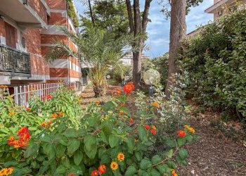 Foto 25 - Trilocale via Nieddu
 
4, Sassari - foto 25