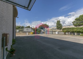 Foto 3 - Capannone Via Pier Francesco Calvi
 
13, Pomezia - foto 3