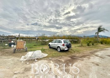 Foto 5 - Azienda agricola Santa Maria la Piana, Sessa Aurunca - foto 5