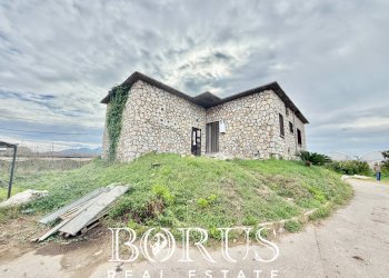 Foto 9 - Azienda agricola Santa Maria la Piana, Sessa Aurunca - foto 9