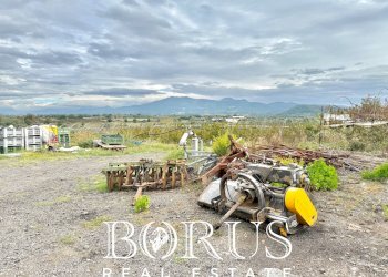 Foto 15 - Azienda agricola Santa Maria la Piana, Sessa Aurunca - foto 15