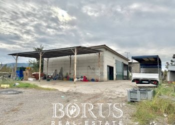 Foto 17 - Azienda agricola Santa Maria la Piana, Sessa Aurunca - foto 17