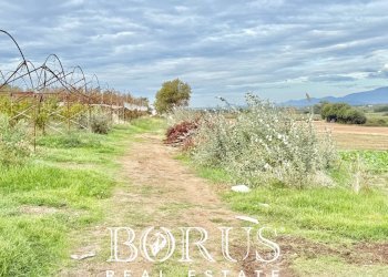 Foto 19 - Azienda agricola Santa Maria la Piana, Sessa Aurunca - foto 19