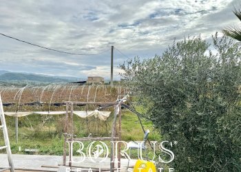 Foto 25 - Azienda agricola Santa Maria la Piana, Sessa Aurunca - foto 25