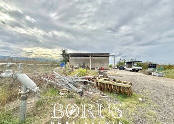 Foto 28 - Azienda agricola Santa Maria la Piana, Sessa Aurunca - foto 28