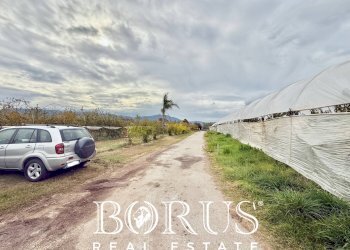 Foto 31 - Azienda agricola Santa Maria la Piana, Sessa Aurunca - foto 31