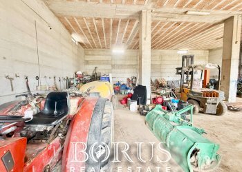 Foto 32 - Azienda agricola Santa Maria la Piana, Sessa Aurunca - foto 32