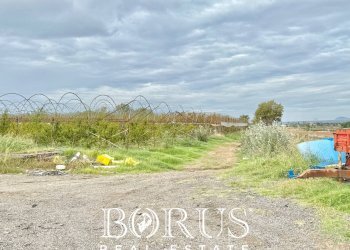 Foto 37 - Azienda agricola Santa Maria la Piana, Sessa Aurunca - foto 37