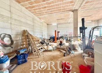 Foto 39 - Azienda agricola Santa Maria la Piana, Sessa Aurunca - foto 39