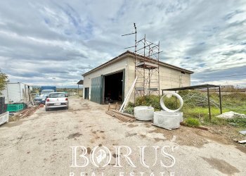 Foto 40 - Azienda agricola Santa Maria la Piana, Sessa Aurunca - foto 40