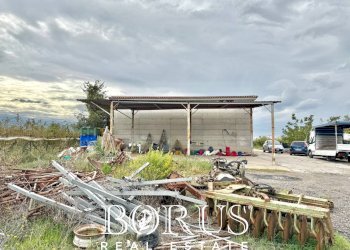 Foto 43 - Azienda agricola Santa Maria la Piana, Sessa Aurunca - foto 43