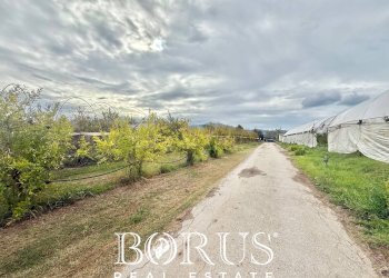 Foto 44 - Azienda agricola Santa Maria la Piana, Sessa Aurunca - foto 44