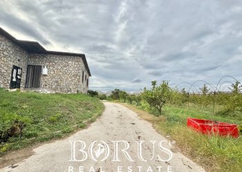 Foto 48 - Azienda agricola Santa Maria la Piana, Sessa Aurunca - foto 48