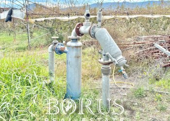 Foto 49 - Azienda agricola Santa Maria la Piana, Sessa Aurunca - foto 49