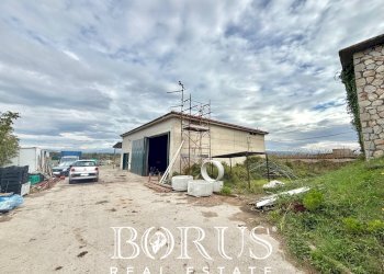 Foto 50 - Azienda agricola Santa Maria la Piana, Sessa Aurunca - foto 50