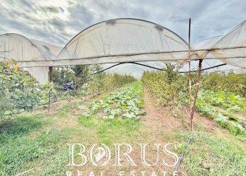 Foto 52 - Azienda agricola Santa Maria la Piana, Sessa Aurunca - foto 52