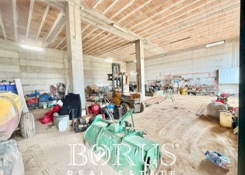 Foto 53 - Azienda agricola Santa Maria la Piana, Sessa Aurunca - foto 53