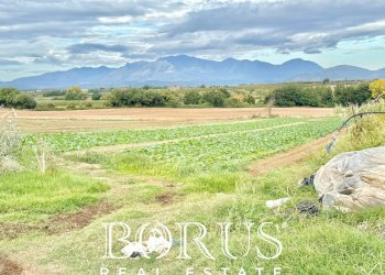 Foto 54 - Azienda agricola Santa Maria la Piana, Sessa Aurunca - foto 54