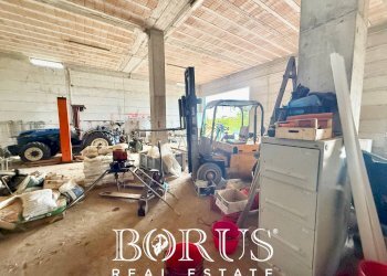 Foto 58 - Azienda agricola Santa Maria la Piana, Sessa Aurunca - foto 58