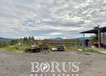 Foto 60 - Azienda agricola Santa Maria la Piana, Sessa Aurunca - foto 60