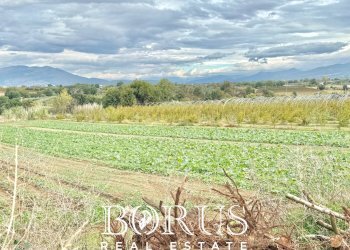 Foto 64 - Azienda agricola Santa Maria la Piana, Sessa Aurunca - foto 64