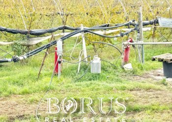 Foto 68 - Azienda agricola Santa Maria la Piana, Sessa Aurunca - foto 68