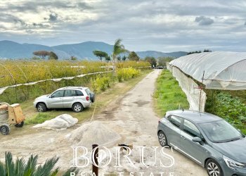 Foto 70 - Azienda agricola Santa Maria la Piana, Sessa Aurunca - foto 70