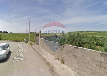 Foto 5 - Terreno edificabile Via Puccini
 
18, Pimentel - foto 5