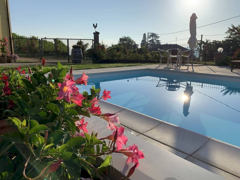 Piscina - Rustico Regione San Rocco, Agliano Terme - foto 3