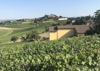 Vista - Rustico Regione San Rocco, Agliano Terme - foto 5