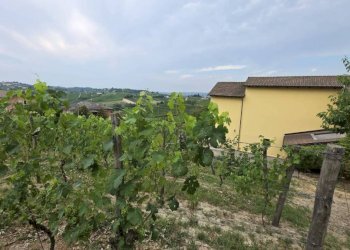 Terreno - Rustic Regione San Rocco, Agliano Terme - photo 34