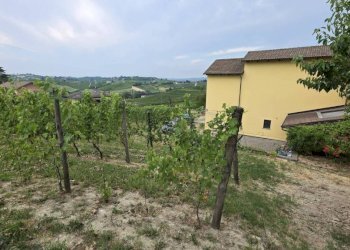 Terreno - Rustic Regione San Rocco, Agliano Terme - photo 35