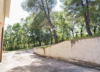 Foto 54 - Casa indipendente Contrada Ponteromito
 
66, Montemarano - foto 54