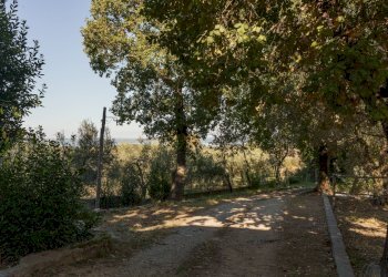 Foto 9 - Rustic Montebuono, Magione - photo 9