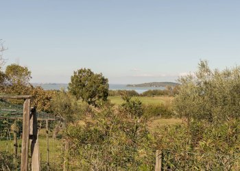 Foto 18 - Rustic Montebuono, Magione - photo 18