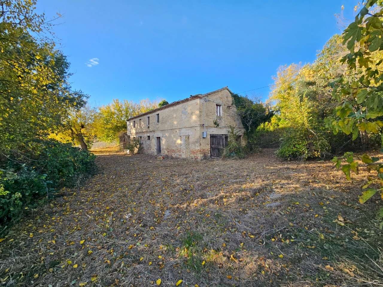 img-20251027-wa0006 - Casa Colonica Polverigi - foto 1