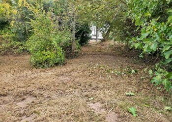 img-20251017-wa0009 - Casa Colonica Polverigi - foto 6