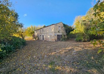 img-20251027-wa0006 - Casa Colonica Polverigi - foto 1