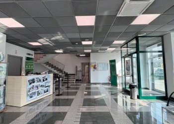 Ingresso - Stabile - Palazzo via Giulio Pastore, 20, Moncalieri - foto 10