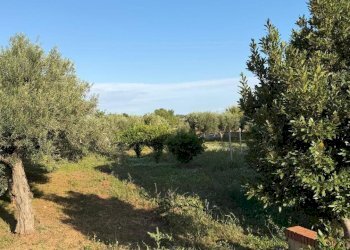 WhatsApp Image 2025-10-18 at 11.03.09 (1).jpeg - Villa SP45 5, Modica - foto 5