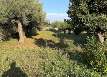 WhatsApp Image 2025-10-18 at 11.03.09.jpeg - Villa SP45 5, Modica - foto 20